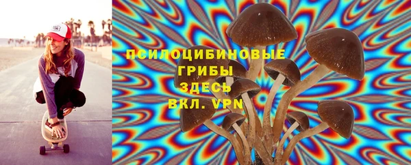 соль курить ск Алзамай