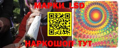 apvp Гусиноозёрск