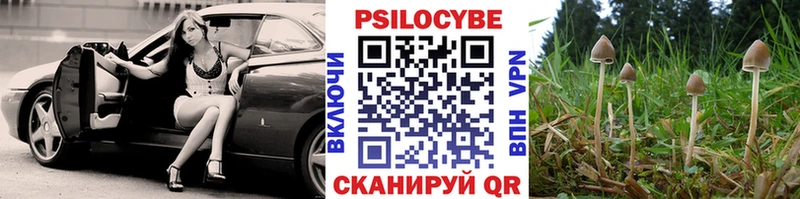 мориарти как зайти  Ливны  Псилоцибиновые грибы Psilocybe 